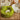 Mini Monster Cuddle Bed - Cozy Pet Bed for Small Animals - DecorOfficial