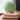 Foldable Fruit Blanket Pillow - Travel Nap Buddy - DecorOfficial