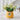 Embossed Ceramic Plant Pot - Decorative Flower Pot - DecorOfficial
