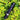 Tactical LED Flashlight - Bright Night Power Light - DecorOfficial