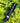 Tactical LED Flashlight - Bright Night Power Light - DecorOfficial