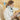 Adjustable Air Neck Traction Collar – Cervical Spine Alignment - DecorOfficial