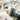 Boho Cotton Throw Blanket - Soft Summer Quilt for Beds - DecorOfficial