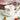 Bone China Floral Tea Cup Set - 180ml Afternoon Tea Cups - DecorOfficial