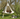 Butterfly Hammock Tent - Kids Outdoor Hanging Bed - DecorOfficial