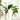 AquaRoots Glass Propagators - Stylish Plant Growth Containers with Cork Lid - DecorOfficial