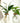 AquaRoots Glass Propagators - Stylish Plant Growth Containers with Cork Lid - DecorOfficial