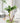 Indoor Cat Scratching Tree - Cat Scratch Post for Active Cats - DecorOfficial