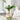 Indoor Cat Scratching Tree - Cat Scratch Post for Active Cats - DecorOfficial