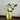 Carambola Ceramic Vase - Decorative Home Pottery - DecorOfficial