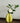 Carambola Ceramic Vase - Decorative Home Pottery - DecorOfficial