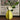 Carambola Ceramic Vase - Decorative Home Pottery - DecorOfficial