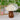 Ceramic Mushroom Lamp - Unique Decorative Lighting for Home - DecorOfficial