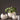 Ceramic Planter - Eggshell White Pot - DecorOfficial