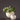 Ceramic Planter - Eggshell White Pot - DecorOfficial