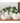 Ceramic Planter - Eggshell White Pot - DecorOfficial