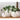 Ceramic Planter - Eggshell White Pot - DecorOfficial