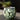 Ceramic Tea Cup Set - Egg Style Porcelain Kung Fu Cups - DecorOfficial