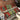 Christmas Sofa Blanket - Holiday Decor Throw - DecorOfficial