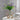 Creative Hydroponic Vase Ornaments - DecorOfficial