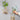 Creative Hydroponic Vase Ornaments - DecorOfficial