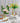 Creative Hydroponic Vase Ornaments - DecorOfficial