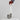 Arcus Dual Candle Holder - Elegant Home Decor Candle Stand - DecorOfficial