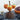 Halloween Pumpkin Snack Bowl - Cute Party Serveware - DecorOfficial