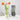Dislocated Square Glass Vase - Modern Decorative Home Accent - DecorOfficial