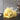 Duck Tissue Box Cover - Adorable Decorative Holder for Home and Office - DecorOfficial