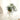 AquaRoots Glass Propagators - Stylish Plant Growth Containers with Cork Lid - DecorOfficial