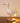 Egg LED Night Light - Soft Glow Lamp - DecorOfficial