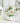 Elegant Bone China Tea Mug Set - Porcelain Coffee Tumbler Set - DecorOfficial
