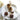 Elegant Coffee and Tea Set with Cups Saucer Pot Milk Sugar Plate and Tray - DecorOfficial