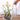 Embossed Glass Vase - Elegant Home Decor Accent - DecorOfficial