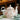 European Bone China Teapot Set - High-Grade Porcelain Coffee Kettle - DecorOfficial