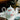 European Bone China Teapot Set - High-Grade Porcelain Coffee Kettle - DecorOfficial