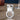 Dual Flame Windproof Lighter - Inferno Torch Lighter - DecorOfficial