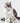 Cat Grooming Brush - Gentle Massage Tool for Pet Care - DecorOfficial