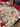 Floral Outdoor Sofa Blanket - Decorative Throw for Picnics and RVs - DecorOfficial