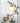 Floral Table Lamp - Elegant Home Lighting Decor - DecorOfficial