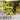 Fog Forest Sunlight Tapestry - Natural Scenery Wall Hanging - DecorOfficial
