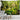 Fog Forest Sunlight Tapestry - Natural Scenery Wall Hanging - DecorOfficial