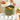 Gas Stove Rice Cooker - High-Temperature Resistant Casserole Pot - DecorOfficial