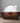 Glass Essential Oil Diffuser with Real Wood Base Aromatherapy Diffuser - DecorOfficial