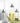 Glass Spice and Sauce Condiment Bottle Set for Kitchen Storage - DecorOfficial