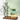 Glass Teapot Set - 18L Teapot with Cups and Infuser for Iced Tea - DecorOfficial