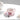 Gradient Pearl Shell Cup Saucer Set - Elegant Drinkware Collection - DecorOfficial