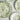 Green Flower Print Dinner Plate – Elegant Ceramic Floral Design - DecorOfficial