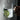Heat-Resistant Glass Cups - Japanese Coffee and Juice Drinkware - DecorOfficial